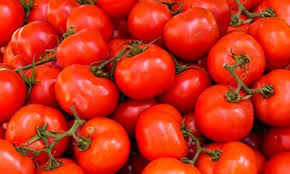 Tomat Merah